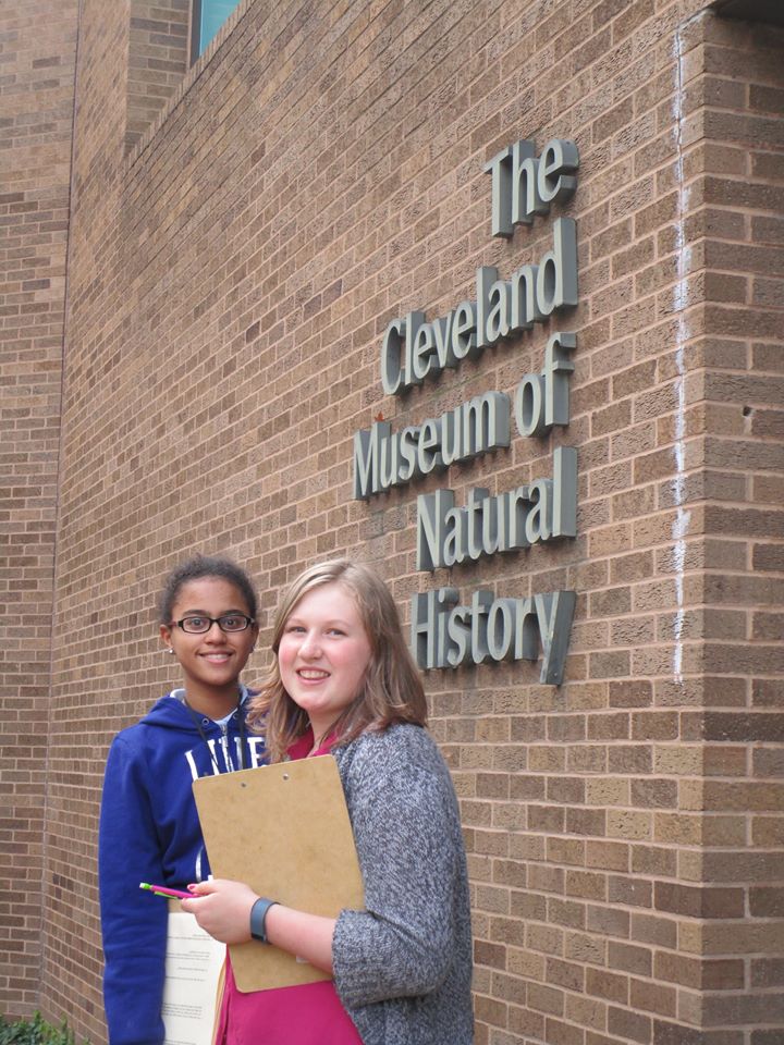 History Museum
